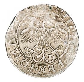 Obrazek 2 dla: Półgrosz 1557 Zygmunt II August Litwa Wilno