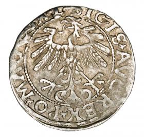 Obrazek 2 dla: Półgrosz 1557 Zygmunt II August Litwa Wilno