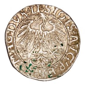 Obrazek 2 dla: Półgrosz 1557 Zygmunt II August Litwa Wilno