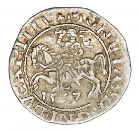 Obrazek dla: Półgrosz 1557 Zygmunt II August Litwa Wilno