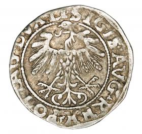 Obrazek 2 dla: Półgrosz 1557 Zygmunt II August Litwa Wilno