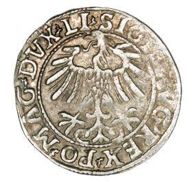 Obrazek 2 dla: Półgrosz 1557 Zygmunt II August Litwa Wilno