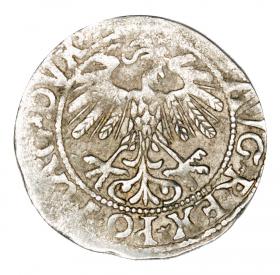 Obrazek 2 dla: Półgrosz 1558 Zygmunt II August Litwa Wilno