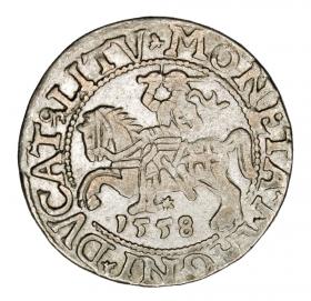 Obrazek dla: Półgrosz 1558 Zygmunt II August Litwa Wilno