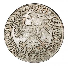 Obrazek 2 dla: Półgrosz 1558 Zygmunt II August Litwa Wilno