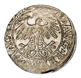 Obrazek 2 dla: Półgrosz 1558 Zygmunt II August Litwa Wilno