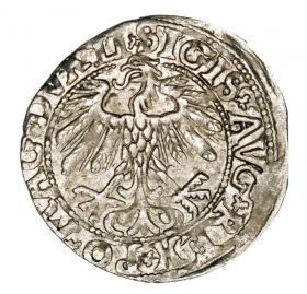 Obrazek 2 dla: Półgrosz 1558 Zygmunt II August Litwa Wilno