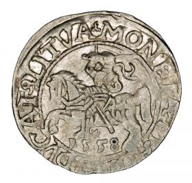 Obrazek dla: Półgrosz 1558 Zygmunt II August Litwa Wilno