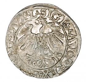 Obrazek 2 dla: Półgrosz 1558 Zygmunt II August Litwa Wilno