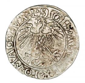 Obrazek 2 dla: Półgrosz 1558 Zygmunt II August Litwa Wilno