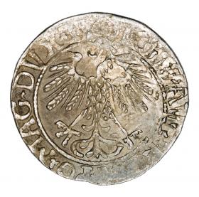 Obrazek 2 dla: Półgrosz 1558 Zygmunt II August Litwa Wilno