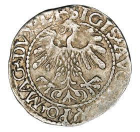Obrazek 2 dla: Półgrosz 1559 Zygmunt II August Litwa Wilno