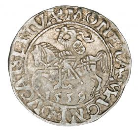 Obrazek dla: Półgrosz 1559 Zygmunt II August Litwa Wilno