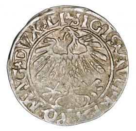 Obrazek 2 dla: Półgrosz 1559 Zygmunt II August Litwa Wilno