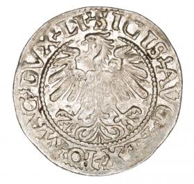Obrazek 2 dla: Półgrosz 1559 Zygmunt II August Litwa Wilno