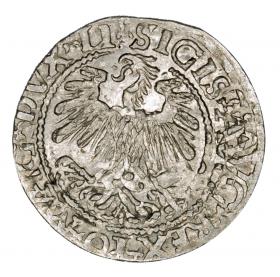 Obrazek 2 dla: Półgrosz 1559 Zygmunt II August Litwa Wilno