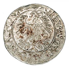 Obrazek 2 dla: Półgrosz 1560 Zygmunt II August Litwa Wilno