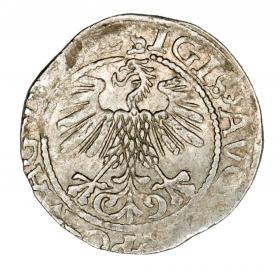 Obrazek 2 dla: Półgrosz 1560 Zygmunt II August Litwa Wilno