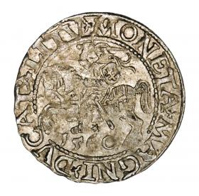 Obrazek dla: Półgrosz 1560 Zygmunt II August Litwa Wilno