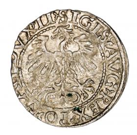 Obrazek 2 dla: Półgrosz 1560 Zygmunt II August Litwa Wilno