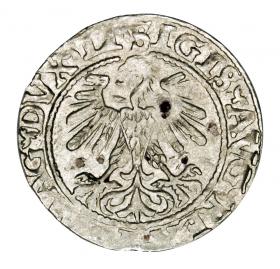 Obrazek 2 dla: Półgrosz 1560 Zygmunt II August Litwa Wilno