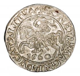 Obrazek dla: Półgrosz 1560 Zygmunt II August Litwa Wilno