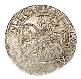 Obrazek dla: Półgrosz 1560 Zygmunt II August Litwa Wilno