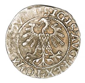 Obrazek 2 dla: Półgrosz 1560 Zygmunt II August Litwa Wilno