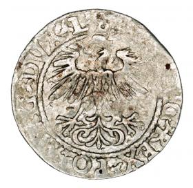 Obrazek 2 dla: Półgrosz 1560 Zygmunt II August Litwa Wilno