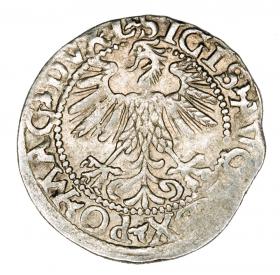 Obrazek 2 dla: Półgrosz 1560 Zygmunt II August Litwa Wilno