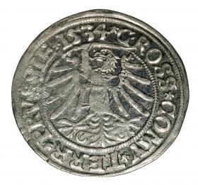 Obrazek 2 dla: Grosz pruski 1534 Zygmunt I Stary Prusy Królewskie Toruń