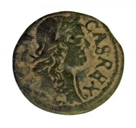 Obrazek dla: 18260
