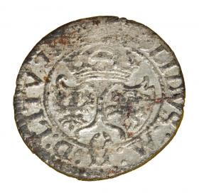Obrazek 2 dla: Szeląg 1624 Zygmunt III Waza Wilno