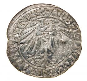 Obrazek 2 dla: Grosz 1546 Albrecht Hohenzollern Księstwo Pruskie Królewiec