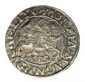 Obrazek dla: Półgrosz 1559 Zygmunt II August Litwa Wilno