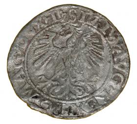 Obrazek 2 dla: Półgrosz 1560 Zygmunt II August Wilno