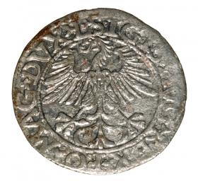Obrazek 2 dla: Półgrosz 1561 Zygmunt II August Wilno