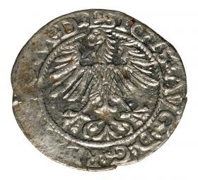 Obrazek 2 dla: Półgrosz 1565 Zygmunt II August Wilno