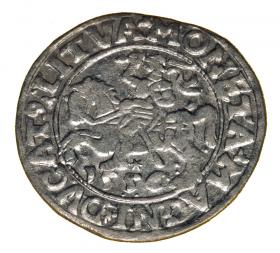 Obrazek dla: Półgrosz 1556 Zygmunt II August Wilno