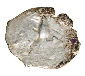 Obrazek dla: 19570