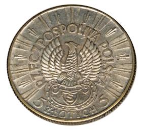 Obrazek 2 dla: 19590