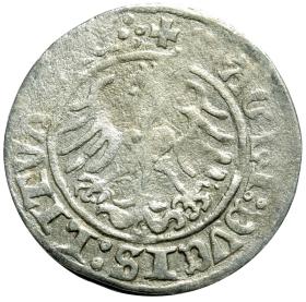 Obrazek 2 dla: Półgrosz 1513 Zygmunt I Stary Wilno