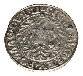 Obrazek 2 dla: Półgrosz 1548 Zygmunt II August Wilno