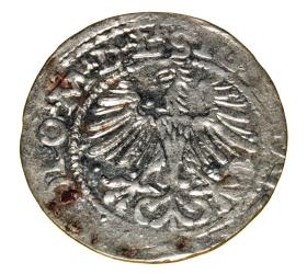 Obrazek 2 dla: Półgrosz 1564 Zygmunt II August Wilno