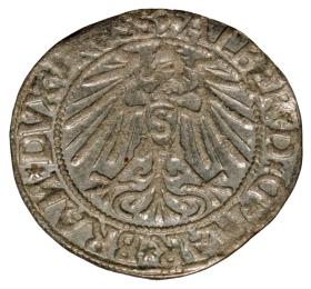 Obrazek 2 dla: Grosz 1544 Albrecht Hohenzollern Księstwo Pruskie Królewiec