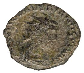 Obrazek dla: 23366