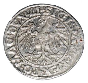 Obrazek 2 dla: Półgrosz 1547 Zygmunt II August Litwa Wilno